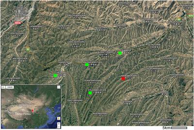 Evidence of Late Miocene Peri-Tibetan Aridification From the Oldest Asian Species of Sandgrouse (Aves: Pteroclidae)